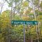 Tulip Tree Trace Rd. & Low Gap Rd.