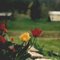 Spring in Ohio Valley, Trimble County