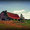 Rusty roof barn