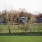 Arrowhead Park 1