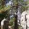 Eddy Arboretum Sign