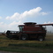 Field Work