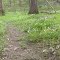 Zona Nature Preserve