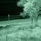 DSC06704 Infrared Indiana Dunes - N view