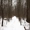 Heron Rookery Path