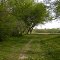 View from Indiana country road