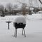 winter 2010