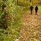 Wooded Path at Merry Lea Environmental Learning Center of Goshen College - Albion, Indiana- USA