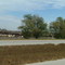 Giant Cattle Lot