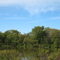 Crab Orchard Lake