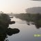 Misty Illinois morning