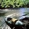 Salt Fork River, Illinois