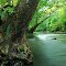 Salt Fork River, Illinois