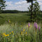 Moraine Hills State Park