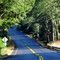 Oregon Coast Hwy 101