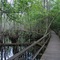 Boardwalk