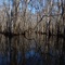 Canoe Trail