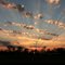 Beidler Forest Sunset