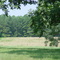 Gardensgate Plantation