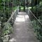 Suspension Bridge on the Trail at Schramm Park