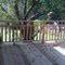 Kimberly Drive, Ashland, Nebraska 3