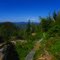 lower Dude Mountain trail