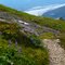 Summer alpine trail