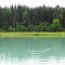 Kasilof River