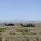 Pinyon Canyon Field Site with Spanish Peaks in the distance