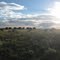 On the Santa Fe Trail Mountain Route