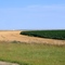 Kansas