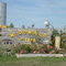 Mc Donald Kansas