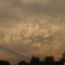 Mammatus clouds