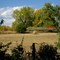 Grass bale in Louisville