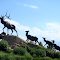 Forgalom - Traffic - Colorado