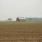 Field near Trinton Kentucky