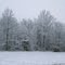 Snowy Bliz