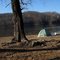 Cove Creek Primitive Campground