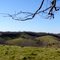 Looking west from the RAP Ranch