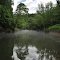 Nolin River