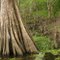 First Bayou, Old River, Mansura