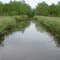 Spring Bayou, Marksville, LA