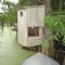 Snakes in a Wood Duck Box, Old River, Mansura, LA