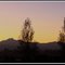 Longs Peak from Anderson Farms