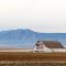 Barn painted with American flag. Boulder, Colorado. (The Cito Barn)