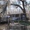 Louisiana Swamp Living