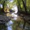 Beall Woods State Park