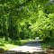 Beall Woods State Park
