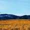 Elkhorn Mountains, Morning