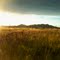 Belt Mountain Meadow - East of Helena
